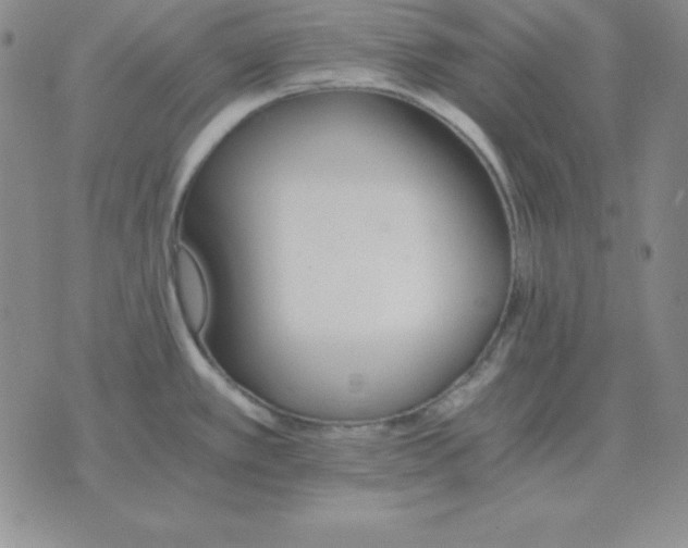 X0000075861389200610061926