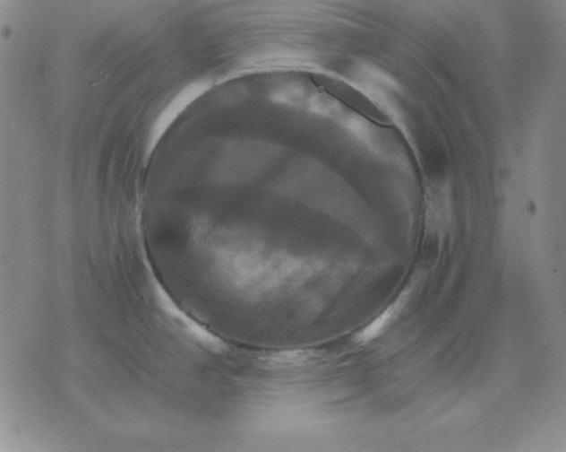 X0000075861390200610061926