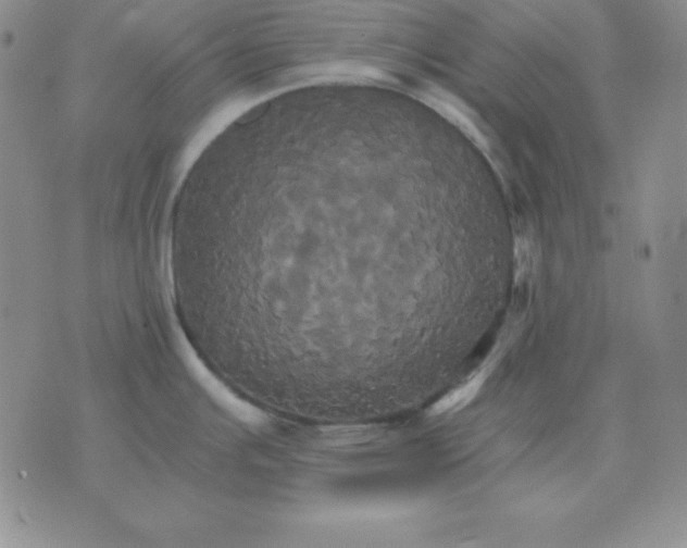 X0000075861391200610061926