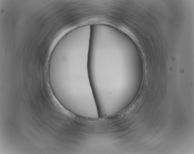 X0000075861392200610061926