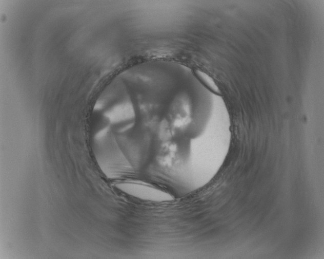 X0000075861393200610061925