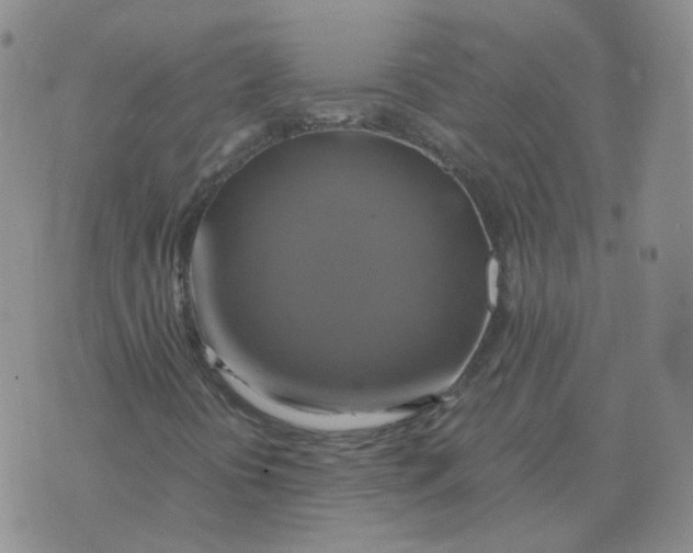 X0000075861394200610061925