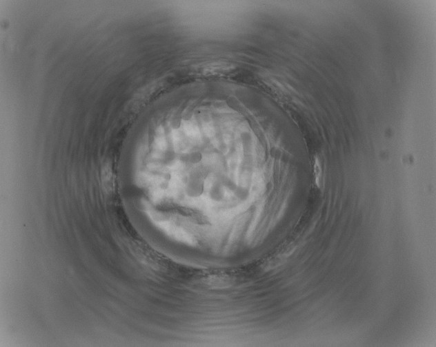 X0000075861395200610061925