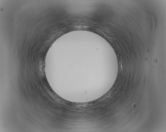 X0000075861396200610061925