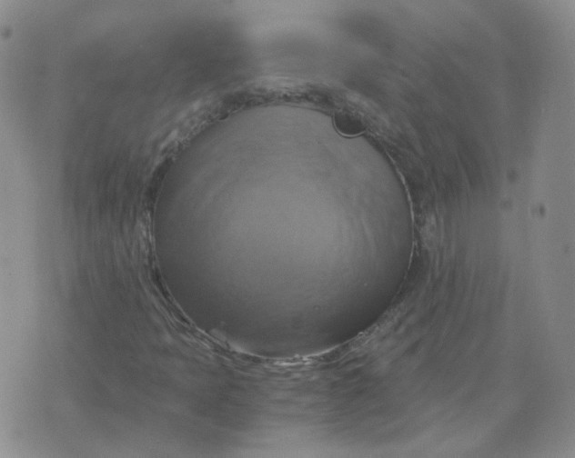 X0000075861397200610061925