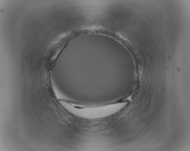 X0000075861398200610061925