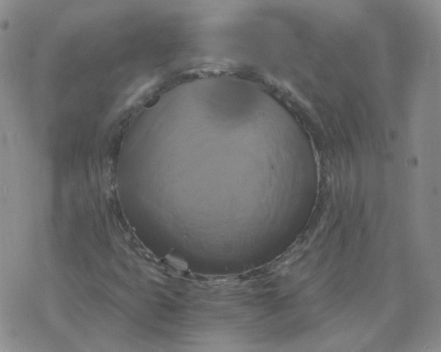 X0000075861399200610061925