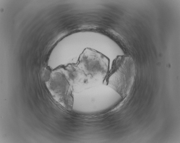 X0000075861401200610061925