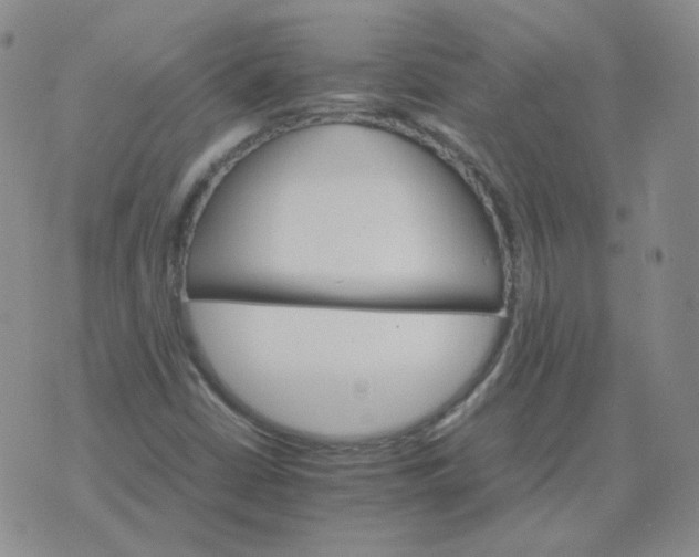 X0000075861402200610061925