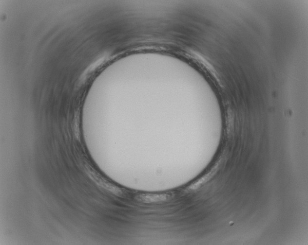 X0000075861403200610061925