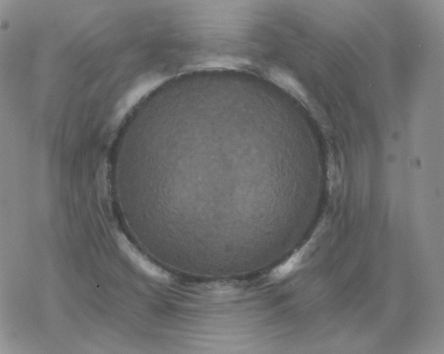 X0000075861404200610061925