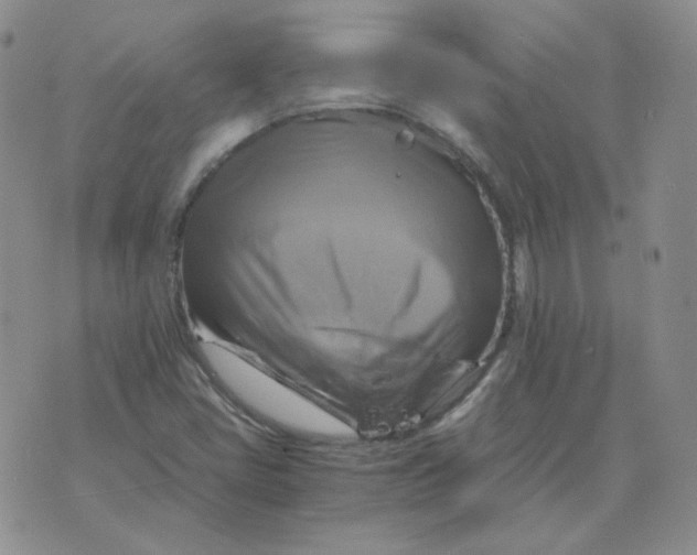 X0000075861405200610061925