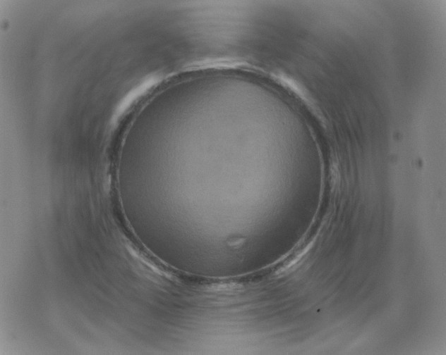 X0000075861406200610061925