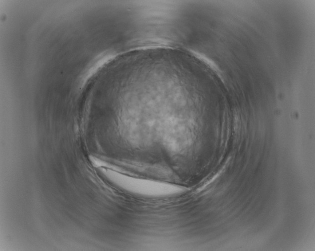 X0000075861407200610061925