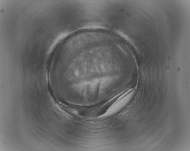 X0000075861408200610061926