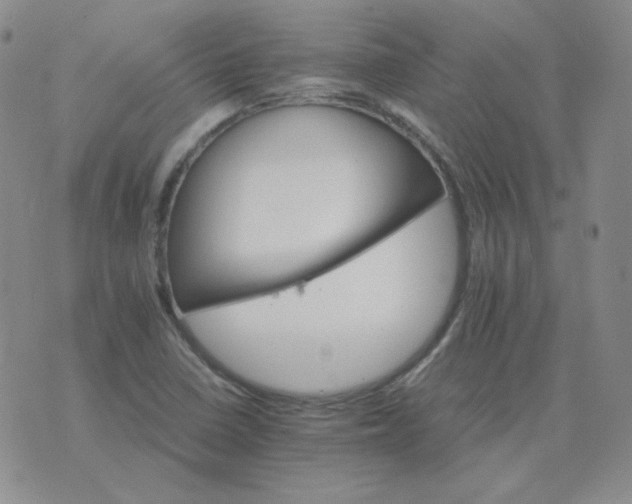 X0000075861410200610061926