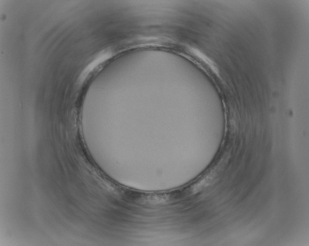 X0000075861411200610061926