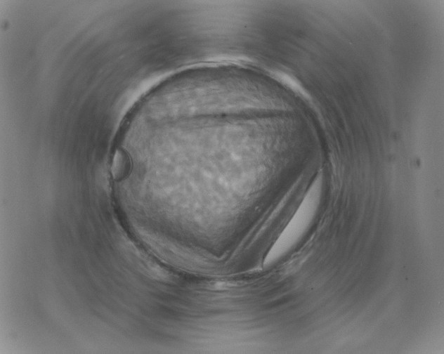 X0000075861412200610061926