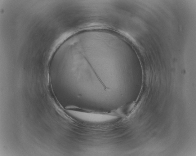 X0000075861413200610061926