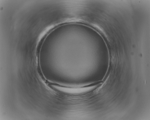 X0000075861414200610061926