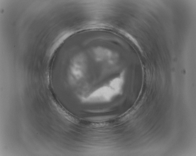 X0000075861415200610061926