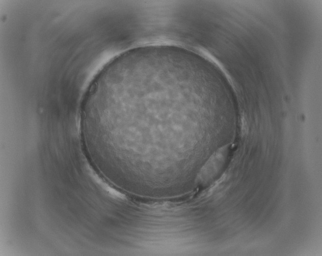 X0000075861416200610061926