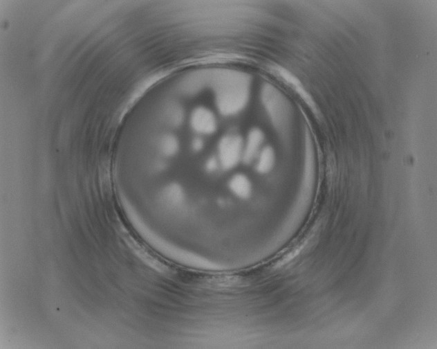 X0000075861417200610061926