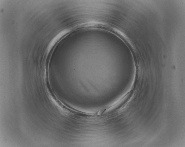 X0000075861418200610061926