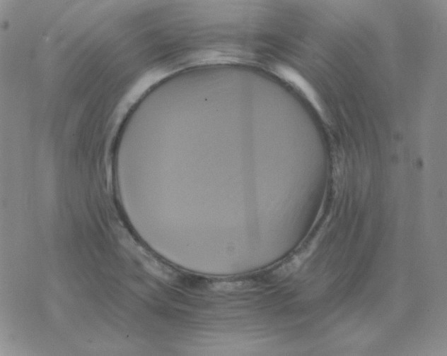 X0000075861419200610061926