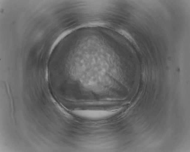 X0000075861420200610061926