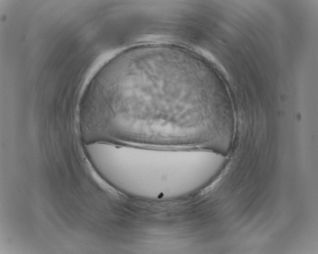 X0000075861421200610061926