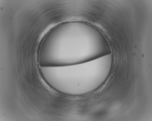 X0000075861422200610061926