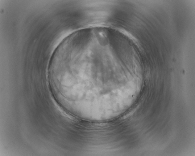 X0000075861423200610061926