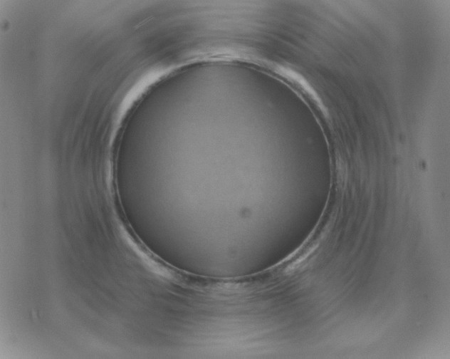 X0000075861424200610061926