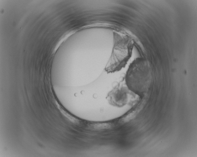 X0000075861425200610061926