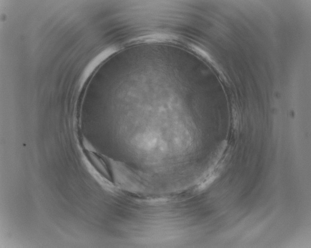 X0000075861426200610061926