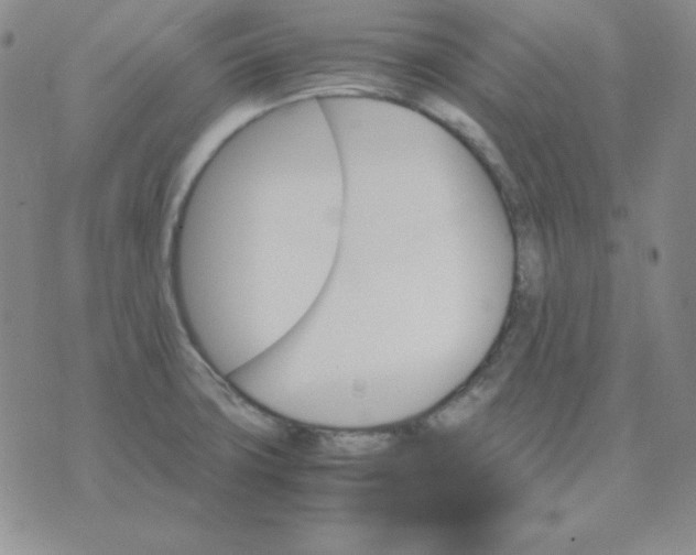 X0000075861427200610061926