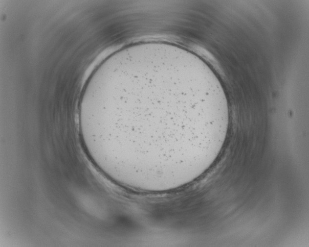 X0000075861428200610061926