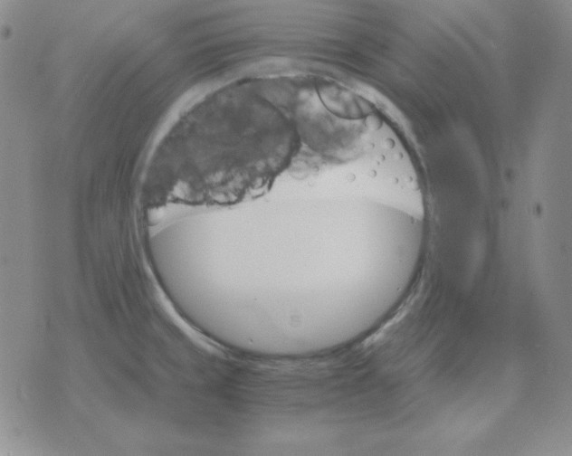 X0000075861429200610061926