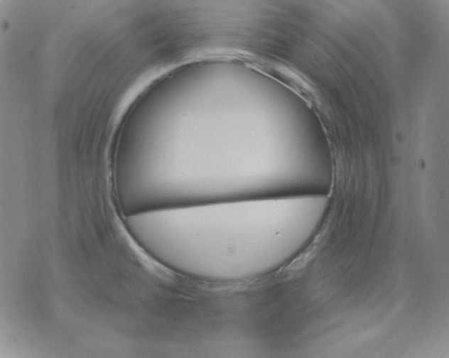 X0000075861430200610061926