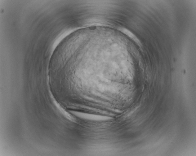 X0000075861431200610061926