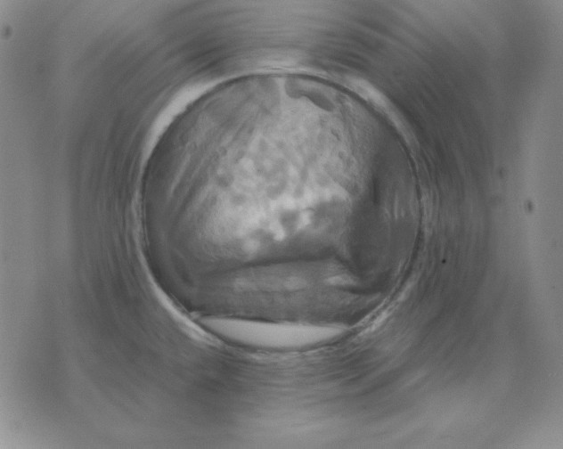 X0000075861432200610061926