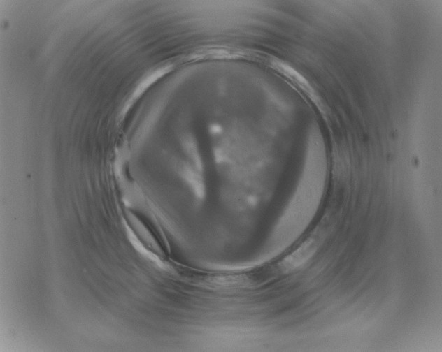 X0000075861433200610061926