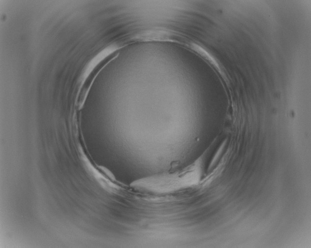 X0000075861434200610061926