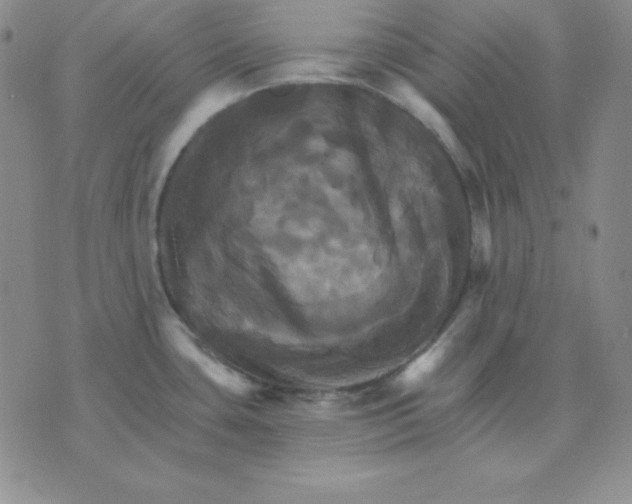 X0000075861435200610061926