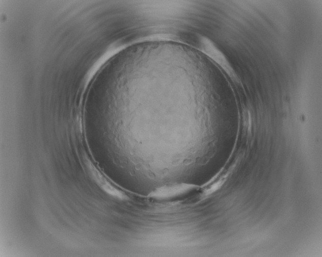 X0000075861436200610061926