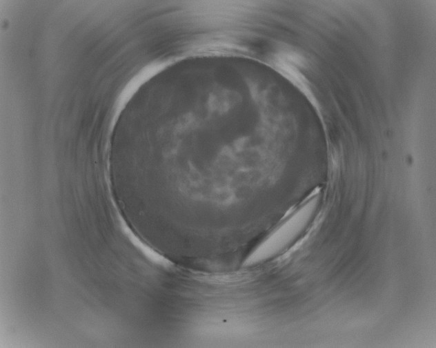 X0000075861437200610061926