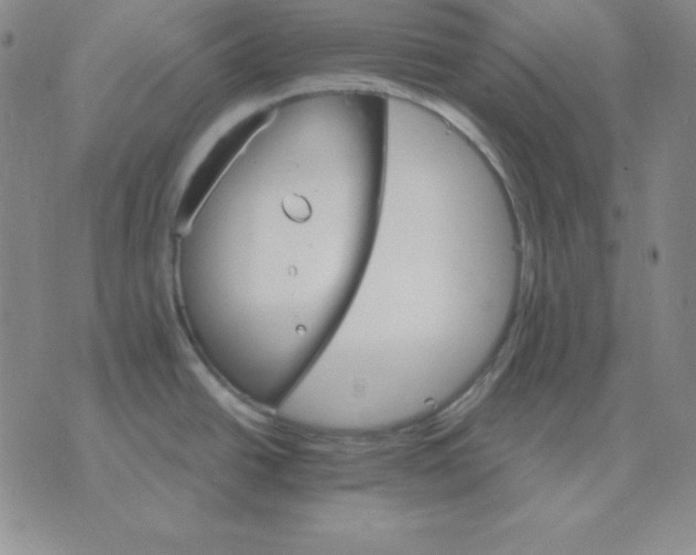 X0000075861438200610061926