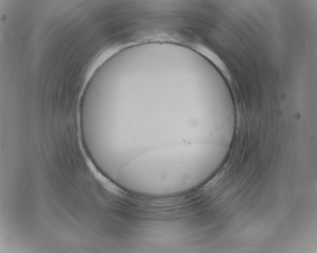 X0000075861439200610061926