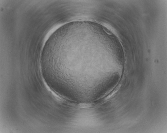 X0000075861440200610061926